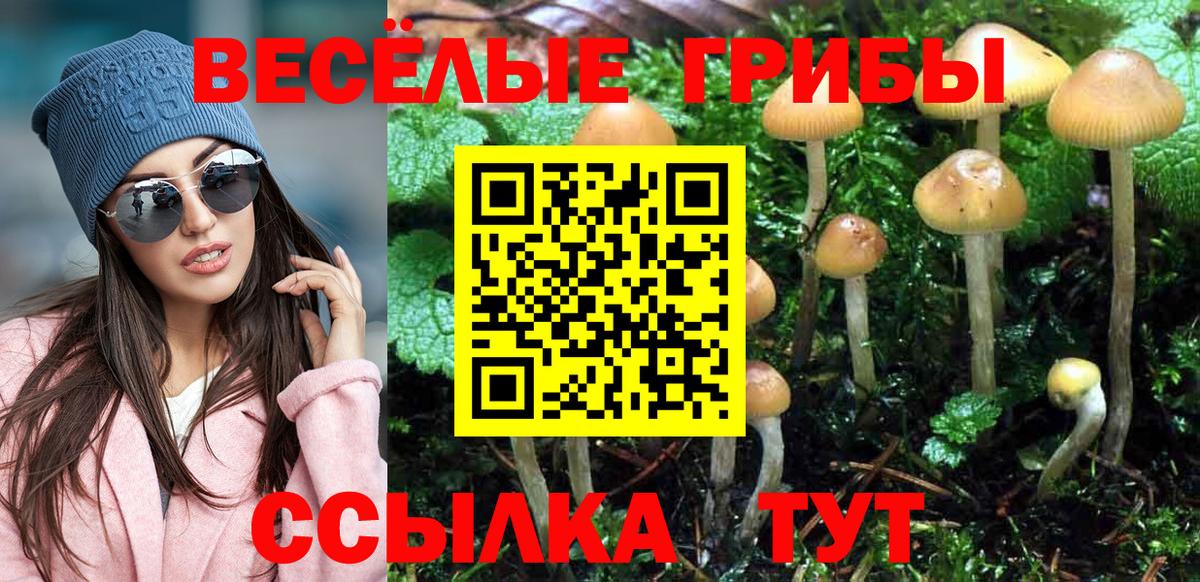 Псилоцибиновые грибы MAGIC MUSHROOMS Моздок